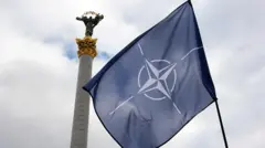 Прапор НАТО Майдан незалежності 
