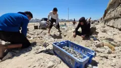 غزيون يجمعون الصخور لتثبيت الخيام