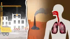Pollution