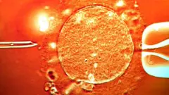 
புற்றுநோய் ஏற்படுத்தும் மரபணுவை கொண்ட நபர் மூலம் பிறந்த சுமார் 200 குழந்தைகள் 