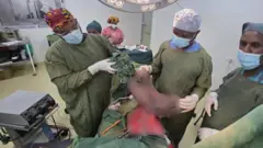 Shamarree dhiitoon kiloograam jahaa olii irraa murame