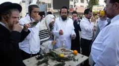 хасиди, Умань