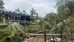 ဗုံးကျတဲ့နေရာ ခြံဝင်းထဲက အုန်းပင်တွေ ခါးပိုင်းပြတ်တဲ့အထိ လဲကျခဲ့တာကြောင့် မင်္ဂလာပွဲတက်သူတွေရဲ့အလောင်းတွေကို အပင်အပိုင်းအပြတ်တွေ အောက်မှာလည်း တွေ့ခဲ့ရ