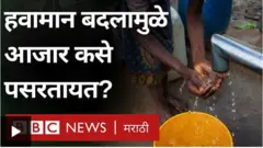हवामान बदल