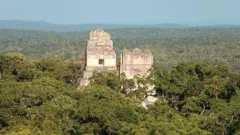 El Templo IV en Tikal, Guatemala