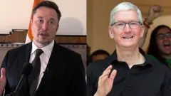 इलॉन मस्क, टिम कुक 