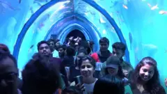 చేపల ఎగ్జిబిషన్