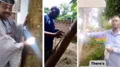 Pipo wey dey test bulb for tree