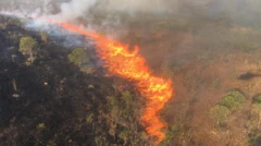 Fogo destruindo vegetaçãocomo se aposta no pixbetParque Nacional 