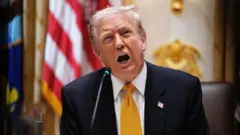 يتحدث الرئيس الأمريكي دونالد ترامب خلال غداء ثنائي مع رئيس وزراء المجر فيكتور أوربان في غرفة مجلس الوزراء في البيت الأبيض في واشنطن العاصمة، الولايات المتحدة الأمريكية، 7 نوفمبر 2025.