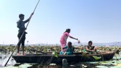 महिलाएं