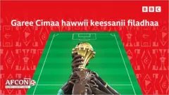 Garii cimaa hawwii keessanii filadhaa