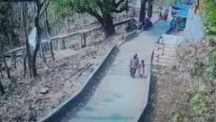 সামাজিক মাধ্যমে ছড়িয়ে পড়া সিসি ক্যামেরা ফুটেজে দেখা যায়, ওই ব্যক্তি পার্কের ভিতর শিশুটিকে হাত ধরে নিয়ে যাচ্ছেন