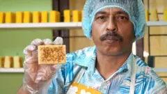 আনিসুর রহমান