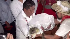 Di mayor carri di crocodile 