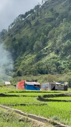 Korban bencana bertahan di tenda darurat di tengah sawah