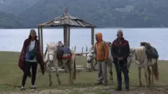 घोडा व्यवसाय