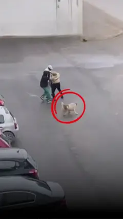 "لبنى" تهرع لإنقاذ سيدة من لصوص في تونس
