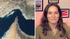 【解説】 アメリカはイランで何を達成したのか