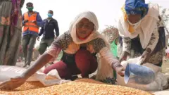የእርዳታ እህል የሚከፋፈኩ ሴቶች 
