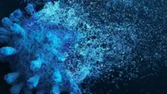 ক্যান্সার নিয়ে গবেষণা