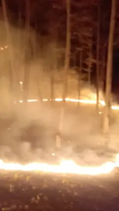 آنش‌سوزی سوادکوه