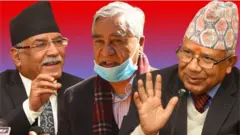 नेताहरू 