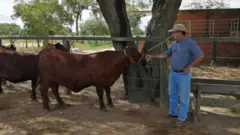 Egon Neufeld emjogar canastra online grátispropriedade rural