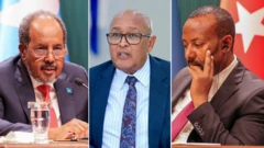 ፕ/ት ሐሰን ሼክ፣ ፕ/ት አብዲራህማን ሞሐመድ እና ጠ/ሚ ዐቢይ አሕመድ