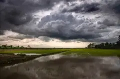 monsoon, gujarat rain, બીબીસી ગુજરાતી, ગુજરાત ચોમાસું