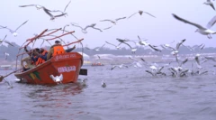 ప్రయాగ్‌రాజ్‌లో మహాకుంభమేళా