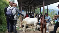 खसी किनबेच गर्दै मानिसहरू