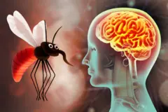 વિશ્વ મેલેરિયા દિવસ : બાળકોનાં મગજને પહોંચતા લાંબા ગાળાના નુકસાન માટે શું મેલેરિયા જવાબદાર છે?