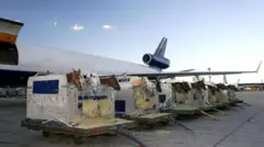 अशाच प्रकारच्या पिंजऱ्यातून एक घोडा निसटून विमानात पळापळ करायला लागला 