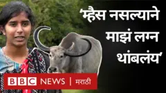 आदिवासी संस्कृती