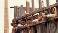 लरीको पछाडि भागमा उखु श्रमिकहरू