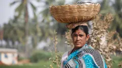प्रातिनिधिक फोटो