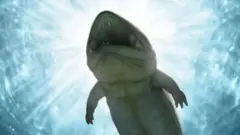 ภาพวาดสัตว์โบราณตัวนี้จากจินตนาการของศิลปิน