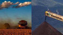 Máquinas agrícolasbetway bbbplantaçãobetway bbbsoja e uma imensa pilhabetway bbbminériobetway bbbferro 