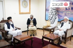 حنفي او نظاماني