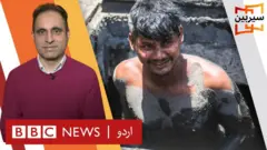 سیربین