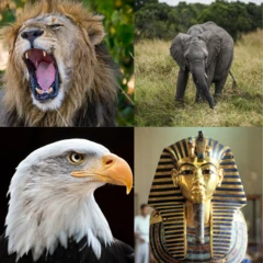 Montage d'images d'animaux (lion, éléphant, aigle) et d'un pharaon.