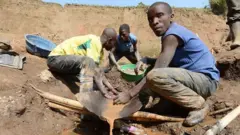 Abagabo barimo gutandukanya amabuye y'agaciro bayakuramo ibitare n'umucanga, ku itariki ya 28 Gicurasi (5) mu mwaka wa 2013, hafi y'ikirombe cya Mudere, hanze ya Rubaya, kuri kilometero 9 uvuye mu mujyi wa Goma muri Repubulika ya Demokarasi ya Congo. 