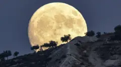 चांद 