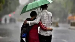 ਮੀਂਹ ਵਿੱਚ ਬਗਲਗੀਰ ਜੋੜਾ ਜਾ ਛਤਰੀ ਹੇਠ ਜਾ ਰਿਹਾ ਜੋੜਾ