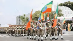 ወታደራዊ ሰልፈኞች 