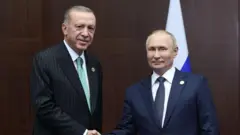 erdoğan putin