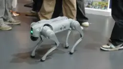 एआई समिट में गलगोटिया यूनिवर्सिटी ने दिखाया चीनी रोबो डॉग 