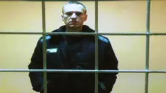 Навальний 