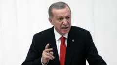 اردوغان